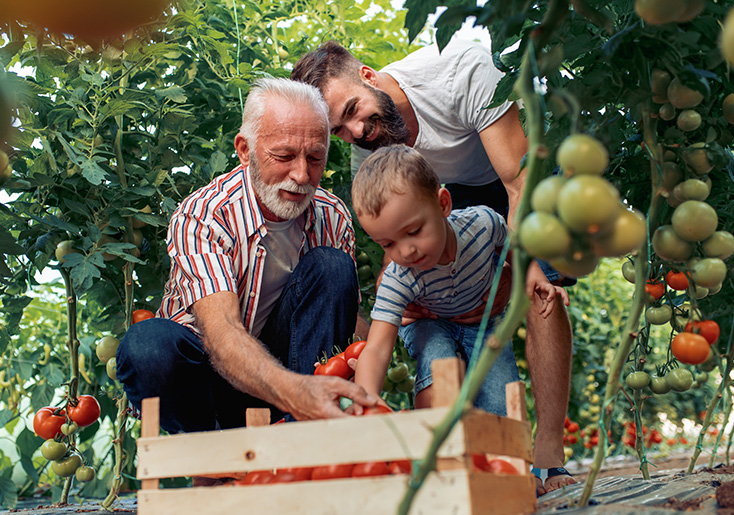 Connecticut Specialty Markets insurance coverage